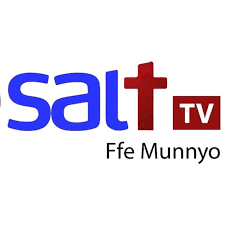 SALT TV